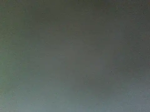 Snapshot of lonelycock33 chatting on June 10, 2026, 9:25 pm lonelycock33 online show from June 10, 2026, 9:25 pm