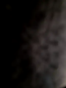 mogli444 online show from December 8, 2024, 1:03 pm