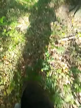 Snapshot of sarpe4 chatting on September 14, 2025, 8:02 am sarpe4 online show from September 14, 2025, 8:02 am