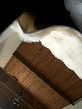 odbodu online show from November 22, 2025, 8:52 pm