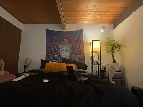 odbodu online show from February 18, 2026, 3:24 am