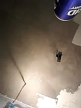 Snapshot of theeeegodv5 chatting on December 3, 2024, 12:46 am theeeegodv5 online show from December 3, 2024, 12:46 am