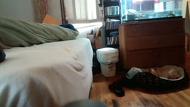 jumpingtomflash online show from April 16, 2026, 2:01 am