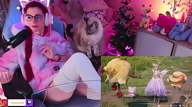 Indriya2x0 online show from December 17, 2024, 10:22 pm