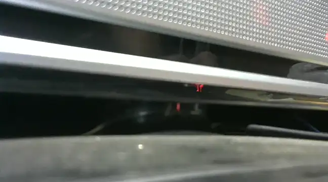 gauchors20 online show from December 26, 2024, 1:51 am