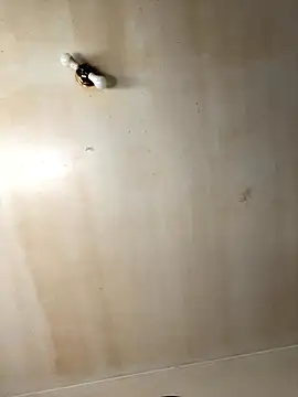 Snapshot of Tristris100 chatting on November 19, 2025, 3:56 pm Tristris100 online show from November 19, 2025, 3:56 pm