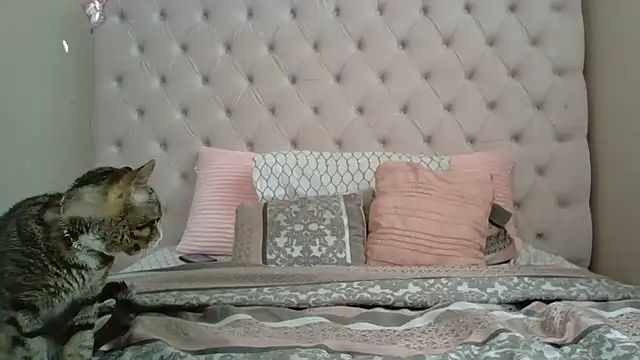 beautylovess online show from December 21, 2025, 2:35 pm