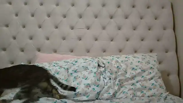 beautylovess online show from February 5, 2026, 11:42 pm