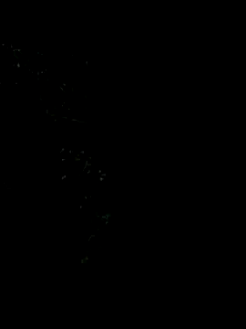 Ixchel Anaid online show from January 5, 2026, 11:52 pm