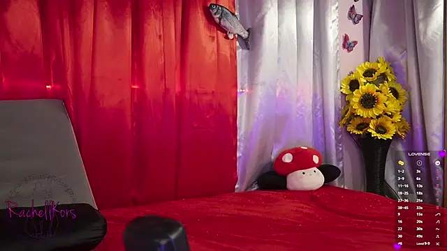 Snapshot of Rachellkors chatting on February 17, 2025, 11:34 am Rachellkors online show from February 17, 2025, 11:34 am