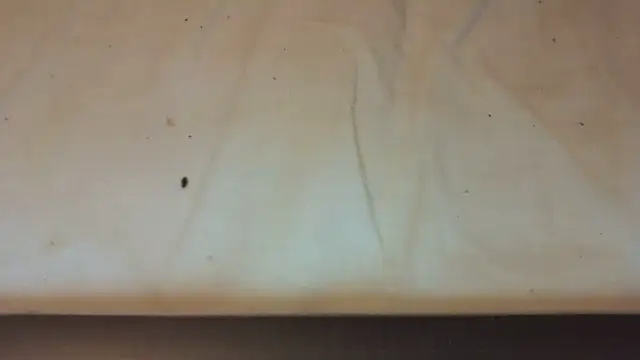 Snapshot of Helly97 chatting on October 23, 2025, 8:07 pm Helly97 online show from October 23, 2025, 8:07 pm