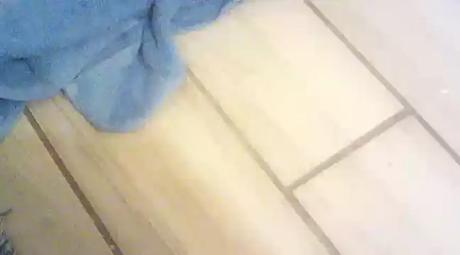 blasphemous online show from January 28, 2025, 10:45 pm