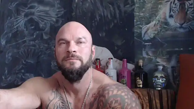 viking 30 online show from October 8, 2025, 10:24 am