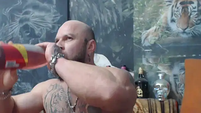 viking 30 online show from November 5, 2025, 8:09 pm