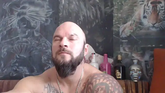 viking 30 online show from November 26, 2025, 7:42 am