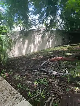 Snapshot of JohnnyBigShot chatting on September 28, 2025, 3:50 pm JohnnyBigShot online show from September 28, 2025, 3:50 pm