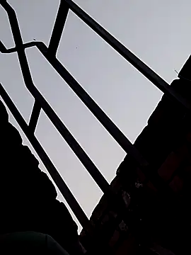 Shahidraza123465  online show from November 18, 2025, 11:14 am