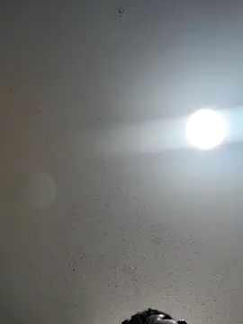 Snapshot of 6lue6a6y69 chatting on December 22, 2024, 1:12 am 6lue6a6y69 online show from December 22, 2024, 1:12 am