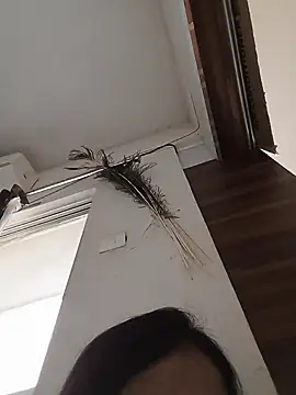 Snapshot of Manjushri35 chatting on February 14, 2025, 4:47 am Manjushri35 online show from February 14, 2025, 4:47 am