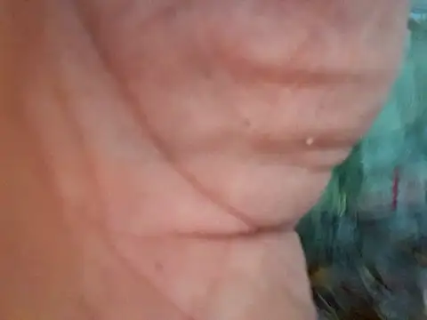 Snapshot of Payaso53 chatting on April 11, 2026, 2:38 am Payaso53 online show from April 11, 2026, 2:38 am