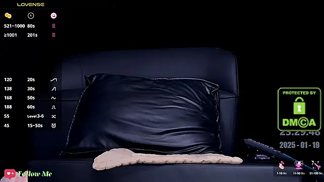 Snapshot of melia_Z chatting on January 19, 2025, 3:53 pm melia Z online show from January 19, 2025, 3:53 pm