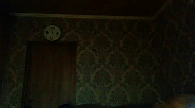 WildMissNiks online show from December 2, 2024, 9:02 am