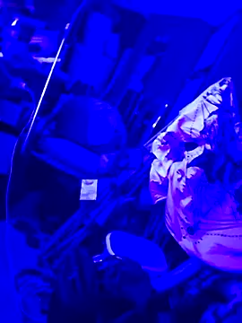 justinewe69 online show from September 23, 2025, 3:31 am