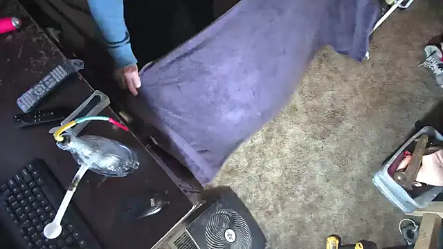 sex4fun 21 online show from March 2, 2025, 8:48 am