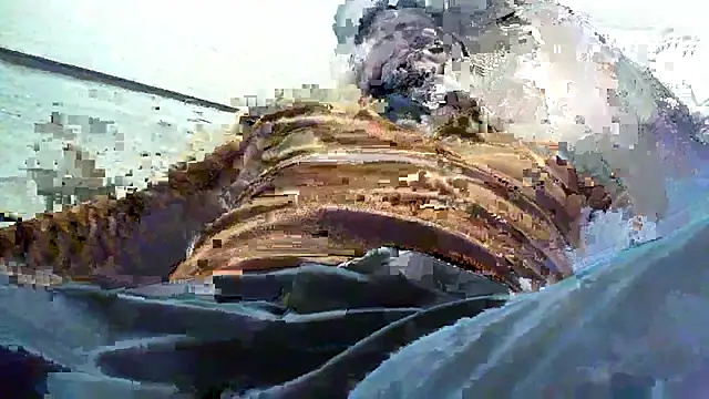 Snapshot of Billywax chatting on January 8, 2026, 9:11 am Billywax online show from January 8, 2026, 9:11 am