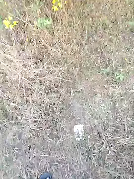 rameshmry1 online show from March 21, 2026, 12:10 pm