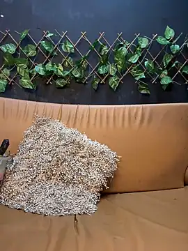 uma patna000 online show from January 12, 2025, 9:51 pm