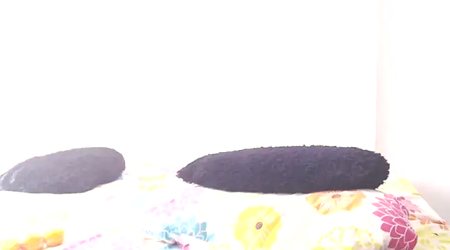 dayanasanz online show from January 21, 2025, 6:55 pm