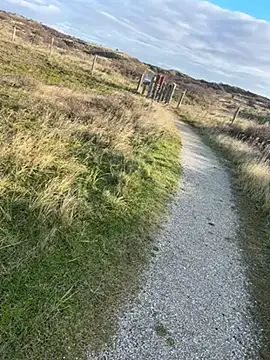 Mark3706 online show from December 3, 2024, 11:55 am