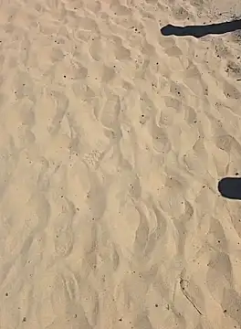 Trucker Hunter online show from September 28, 2025, 2:22 pm