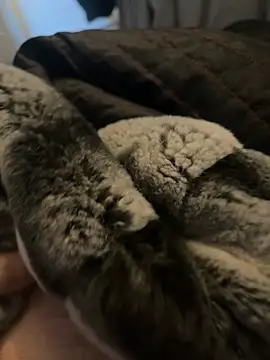 Furdale online show from January 2, 2025, 12:35 pm