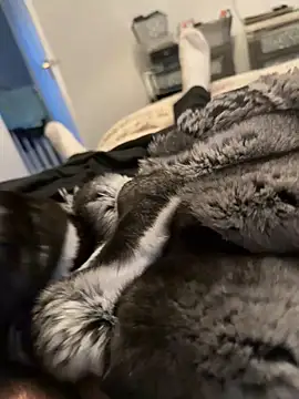 Furdale online show from February 12, 2026, 4:24 pm