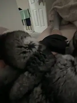 Furdale online show from April 9, 2026, 11:04 am