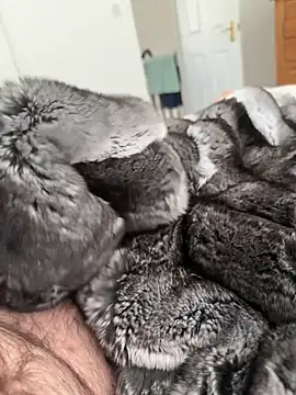 Furdale online show from April 23, 2026, 1:57 pm