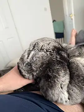 Furdale online show from April 27, 2026, 12:03 pm