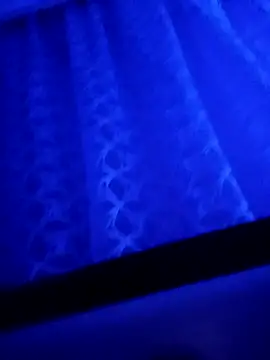 LeilaSaint online show from September 19, 2025, 4:40 pm