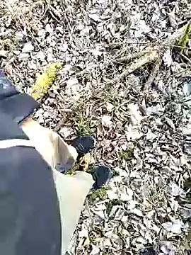 Boring one online show from February 3, 2025, 2:55 pm