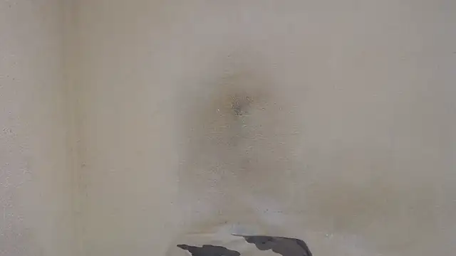 Snapshot of AlexNudo chatting on December 31, 2024, 12:46 pm AlexNudo online show from December 31, 2024, 12:46 pm