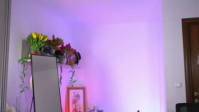 Amaliamour online show from February 26, 2025, 2:26 am