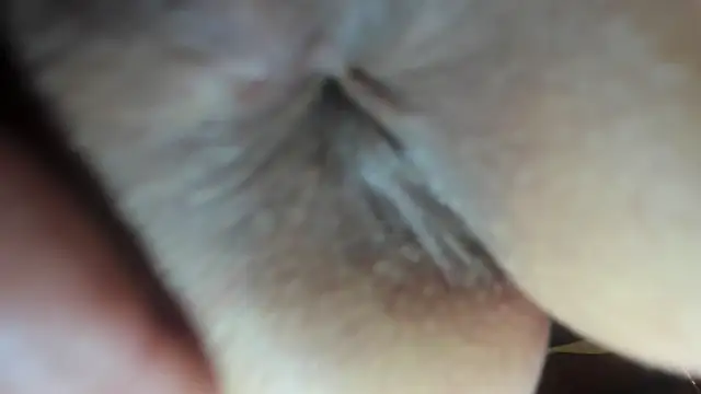 FrumCake online show from December 21, 2024, 3:47 am