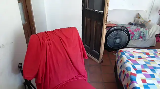 Snapshot of deftoolceles chatting on December 8, 2024, 3:13 pm deftoolceles online show from December 8, 2024, 3:13 pm