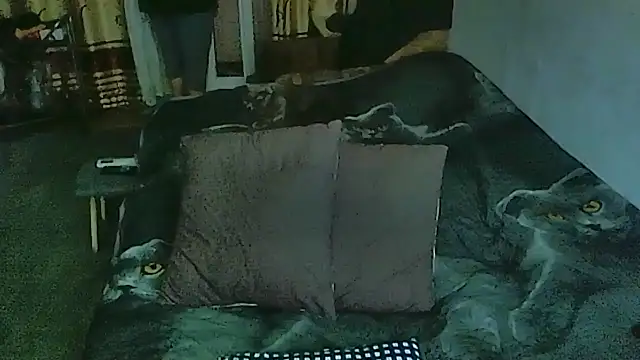 sex2 online show from March 30, 2026, 12:11 am