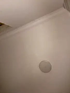 Snapshot of Drkats chatting on March 18, 2026, 1:53 am Drkats online show from March 18, 2026, 1:53 am