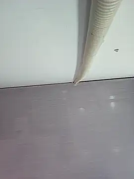 sweet lucia online show from March 11, 2026, 9:21 pm