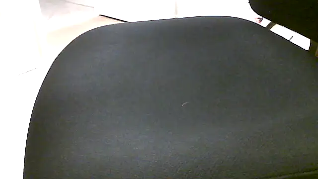 jungle644 online show from January 7, 2026, 2:41 pm