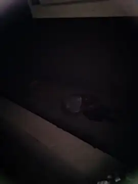 Pitercom online show from January 9, 2026, 12:46 am